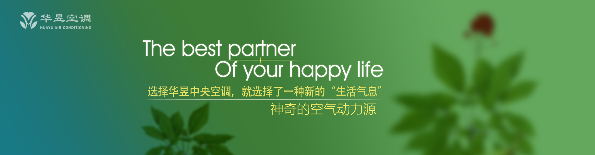 弃道任术网